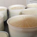 Masseria San Vincenzo, Azienda agrituristica biologica a Spinazzola, Alta Murgia