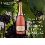 Le bollicine di Tenute Carpineto nella Toscana enoica