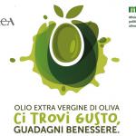 Olio come il vino: degustare per conoscere e scegliere - Vinitaly 2018