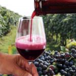 Effervescenze tricolori: il Lambrusco piace sempre di più