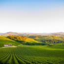 Bubble’s Italia Magazine a Vinitaly 2018: L’Oltrepo Pavese (Video)