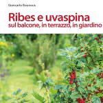 Un libro di Giancarlo Bounous per imparare a coltivare e cucinare ribes e uvaspina