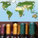 Consumo vino: l’Italia concentra troppo in pochi paesi, forse con  ecommerce…