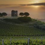 Ecco le 64 Cantine storiche che saranno a Vinitaly 2018