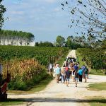 Enoturismo  internazionale cantine attraverso ecommerce