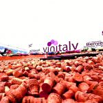 Parte all’insegna del buon bere e dell’evanescenza politica, il 52° Vinitaly a Verona