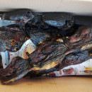 Topo allo spiedo e nutria arrosto, street food nigeriano a Torino