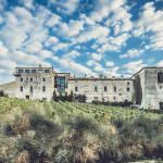 Marina Cvetic EVO Biologico 2017 - Olio Extra Vergine d’Oliva Blend