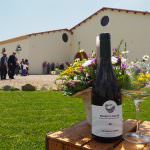 L'ESSENZA DELLA SARDEGNA NELLA NUOVA CANTINA DI ANTONELLA CORDA