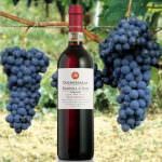 DUCHESSA LIA: BARBERA D’ASTI DOCG SUPERIORE GALANERA INVECCHIAMENTO IN BARRIQUE