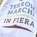 Terroir Marche Festival a Macerata: festa dei vini biologici
