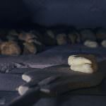 Matera 2019, la città dei Sassi presenta: Breadway, Le Vie del Pane