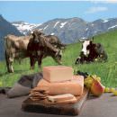 Gustavo Taleggio – Missione Buone Forchette, la nuova promo web del Taleggio D.O.P.