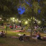 Grigliata Pic-nic "Imboscata" al Germano Reale di Coriano