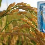 BeviRiso: piacere e benessere senza lattosio