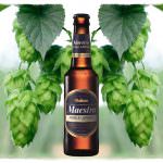 Maestra Doppio Luppolo: arriva in Italia la birra novità Mahou San Miguel,