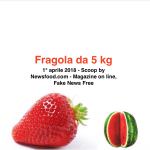 Guerra alle Fake news by Yakult Italia e Osservatorio Senior