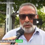 Tonino Verna, presidente del Consorzio di Tutela Dop Tullum (Video)