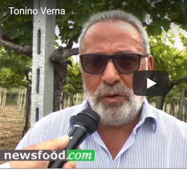Tonino Verna, presidente del Consorzio di Tutela Dop Tullum (Video)