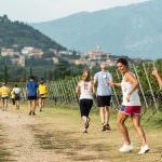 A SETTEMBRE TORNA LA GARA PODISTICA DELL'OLIO TURRI "4 PASSI TRA GLI OLIVI E LE VIGNE DEL GARDA"