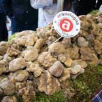 Il tartufo bianco di Acqualagna (PU) protagonista per tre imperdibili weekend - 28 ott/11 nov