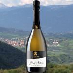 Cantina Kaltern realtà nel segno della qualità a Bolzano