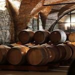 I VINI ZORZETTING PROTAGONISTI A THE CIRCLE ALL'INTERNO DEL MERANO WINE FESTIVAL