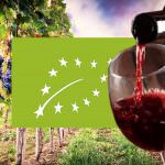 VINO BIOLOGICO,  SI' o  NO ? ... NI