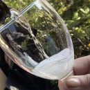 SPUMANTITALIA 2019 – Pescara 18-19 gennaio 2019 – Save the date