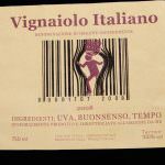 UVA, BUONSENSO E TEMPO: LA RICETTA DEL VIGNAIOLO FIVI AL MERCATO DEI VINI DI PIACENZA