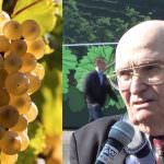 Malvasia, vino dimenticato fra i grandi vini di Slow Wine