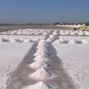 Sale e saline italiane in pericolo: dovremo importare anche il sale?