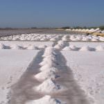 Sale e saline italiane in pericolo: dovremo importare anche il sale?