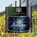 Trento Doc Toblino Antares Brut Millesimato: Premio Bubble’ Italia 2018