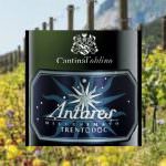 Trento Doc Toblino Antares Brut Millesimato: Premio Bubble' Italia 2018