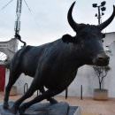 Viaggio in Camargue… Nimes, Saint Gilles, Arles