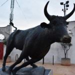 Viaggio in Camargue... Nimes, Saint Gilles, Arles