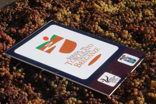 LA PRIMA DEL TORCOLATO: UN GRANDE SUCCESSO PER L’INTERA PEDEMONTANA VICENTINA