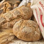 Molino sul Clitunno al SIGEP 2019 - Farine professionali