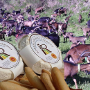 Robiola di Roccaverano DOP festeggia i 40 anni… di DOP, a Torino