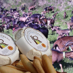 Robiola di Roccaverano DOP festeggia i 40 anni... di DOP, a Torino