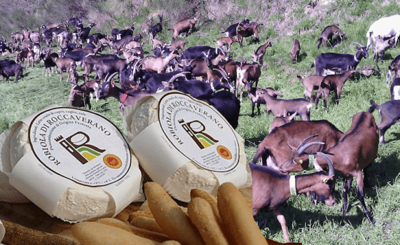 Robiola di Roccaverano DOP festeggia i 40 anni… di DOP, a Torino