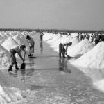 Sale Italiano resti agli Italiani: appello al Demanio e al Governo