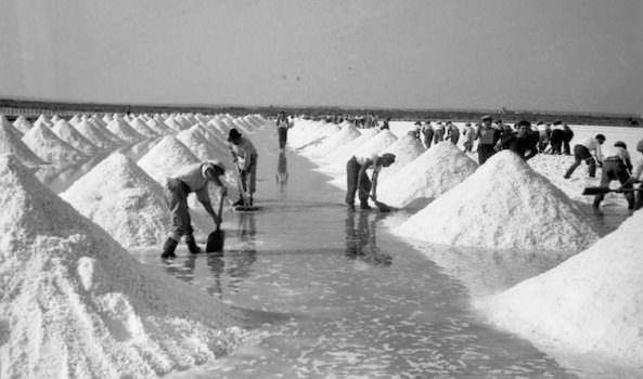 Sale Italiano resti agli Italiani: appello al Demanio e al Governo