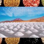 I colori del sale da cucina: tanti colori e sapori da tutto il mondo