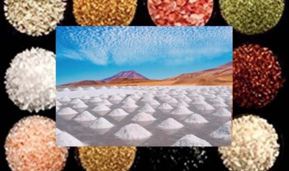 I colori del sale da cucina: tanti colori e sapori da tutto il mondo