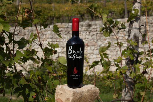 LA PRESENTAZIONE DEL BROLO DEI GIUSTI AD ANTEPRIMA AMARONE