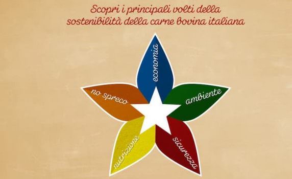 Carne Bovina: informazioni e i dati scientifici by ASSOCARNI e MIPAAFT