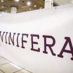 ALLA SCOPERTA DEI VINI ARTIGIANALI DELL'ARCO ALPINO CON VINIFERA