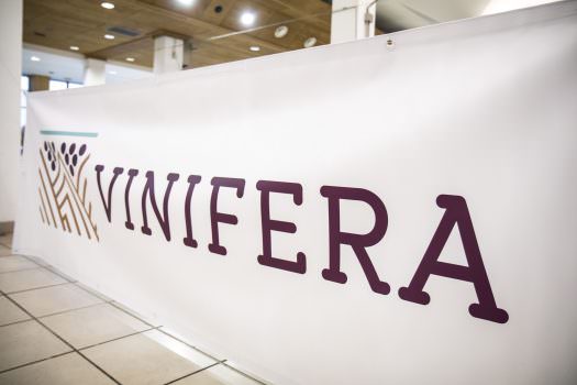 ALLA SCOPERTA DEI VINI ARTIGIANALI DELL’ARCO ALPINO CON VINIFERA